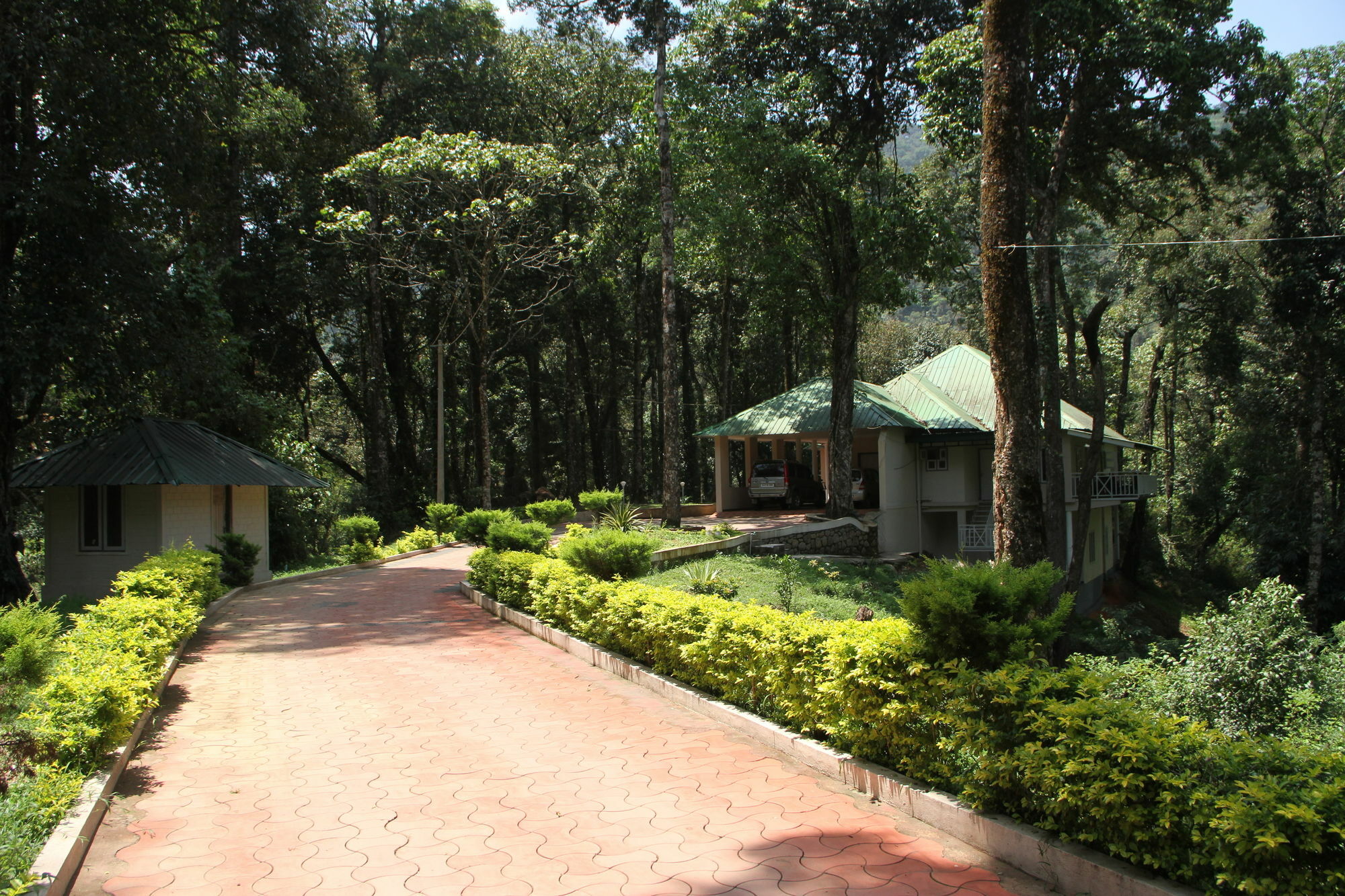 Deep Woods Resort Munnar Εξωτερικό φωτογραφία